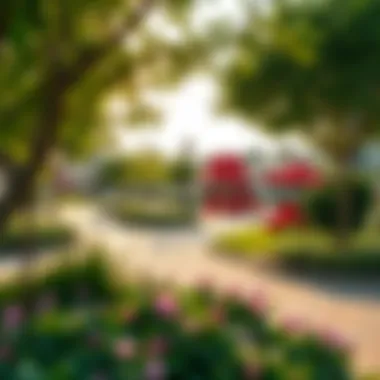 Vibrant lifestyle amenities in Spring Meadows including parks and recreational areas