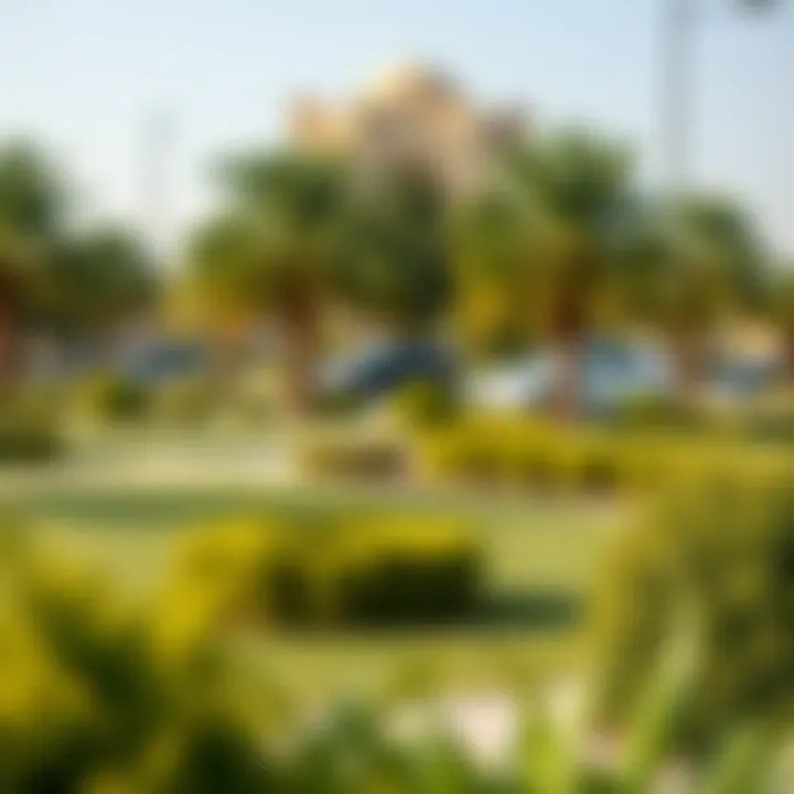 A serene park in Tibba Al Qusais with green spaces for relaxation and leisure