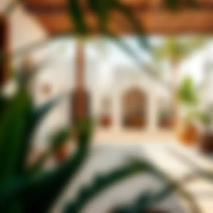 Local amenities in Al Rashidiya enhancing the living experience